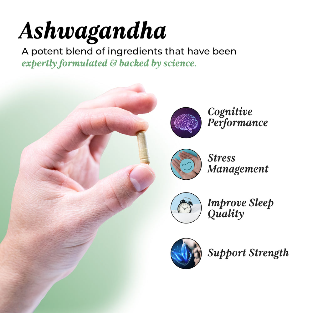 Ashwagandha: 3 Pack Bundle Bundles UMZU