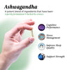 Ashwagandha: 3 Pack Bundle Bundles UMZU
