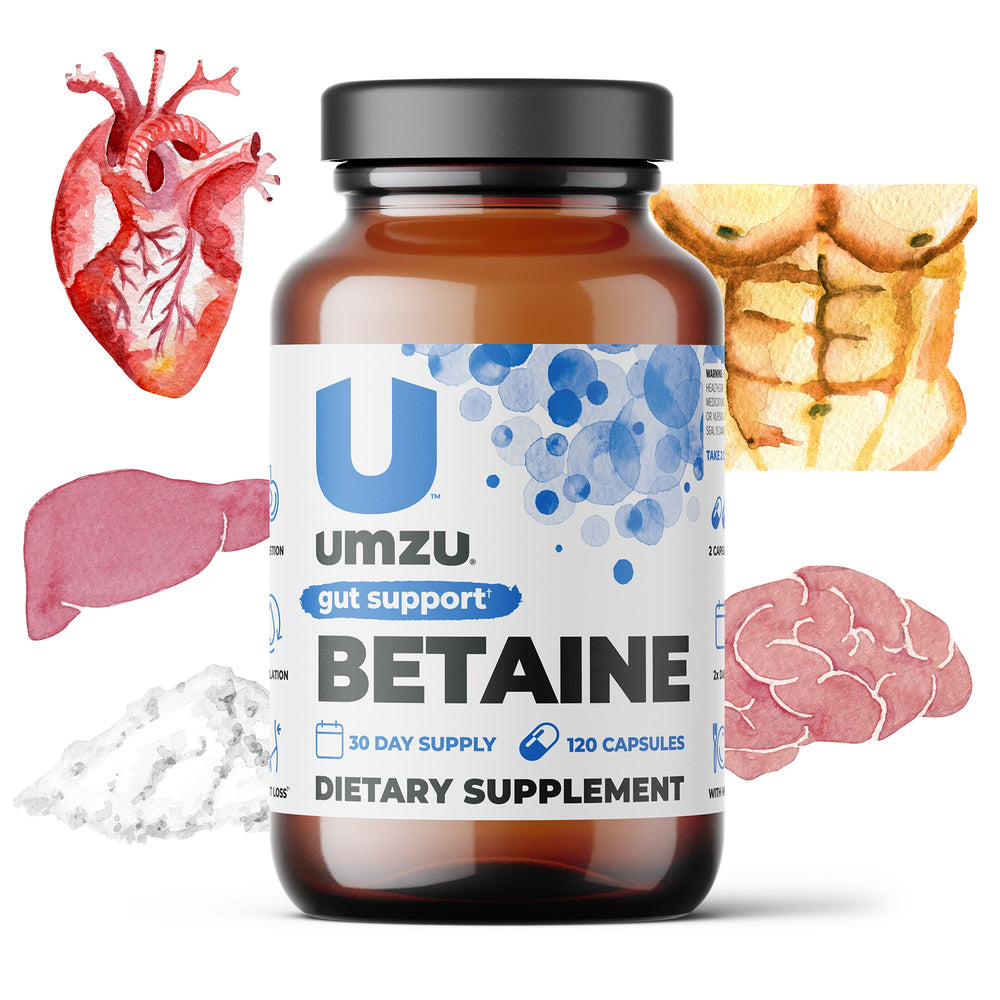 BETAINE HCl: Digestion & Circulatory Support Capsule Supplements UMZU   