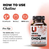 Choline: 3 Pack Bundle Bundles UMZU