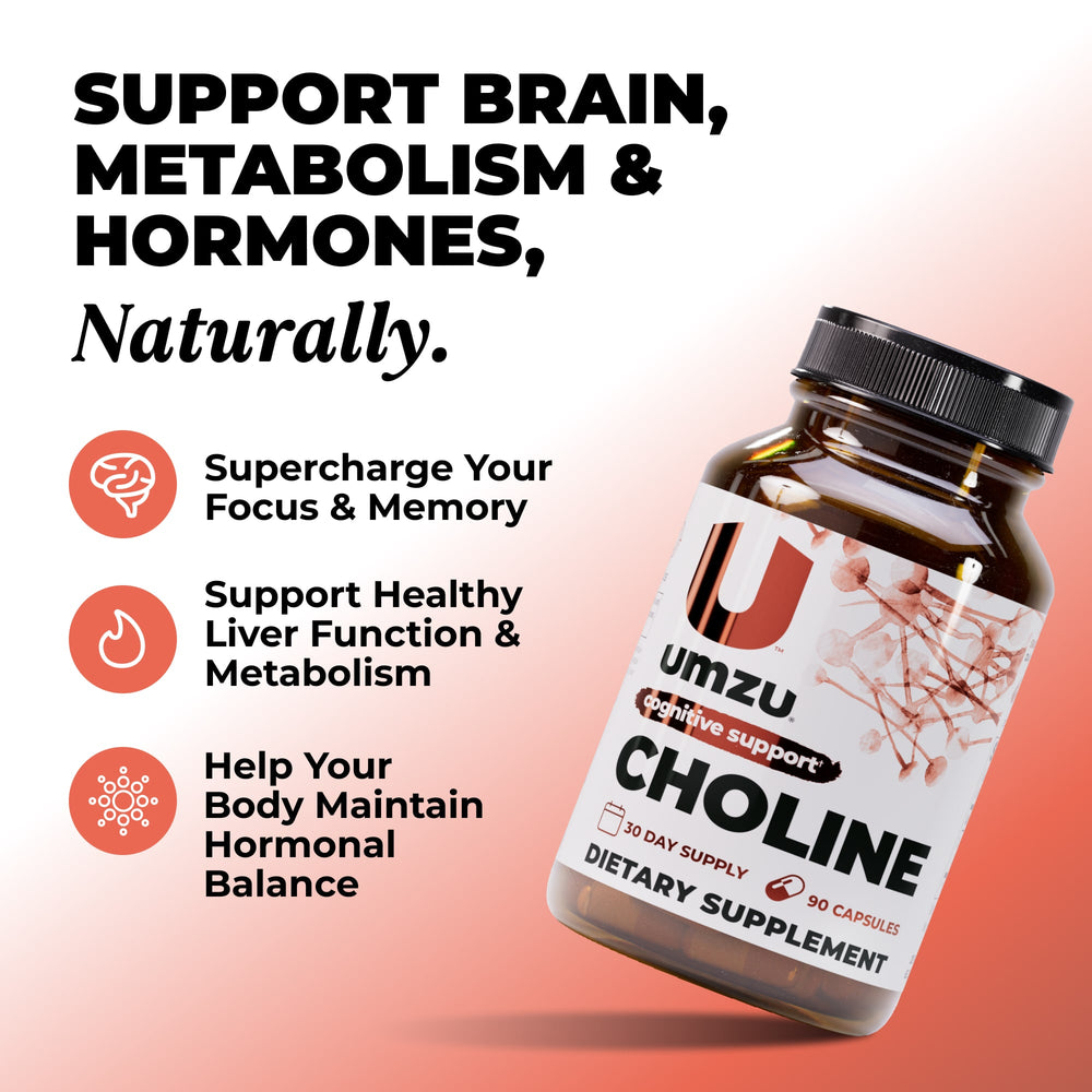 Choline: 3 Pack Bundle Bundles UMZU