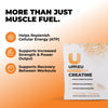 Creatine: 2 Pack Bundle Powder UMZU