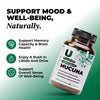 Mucuna Pruriens: 3 Pack Bundle Bundles UMZU