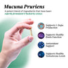 Mucuna Pruriens: 3 Pack Bundle Bundles UMZU