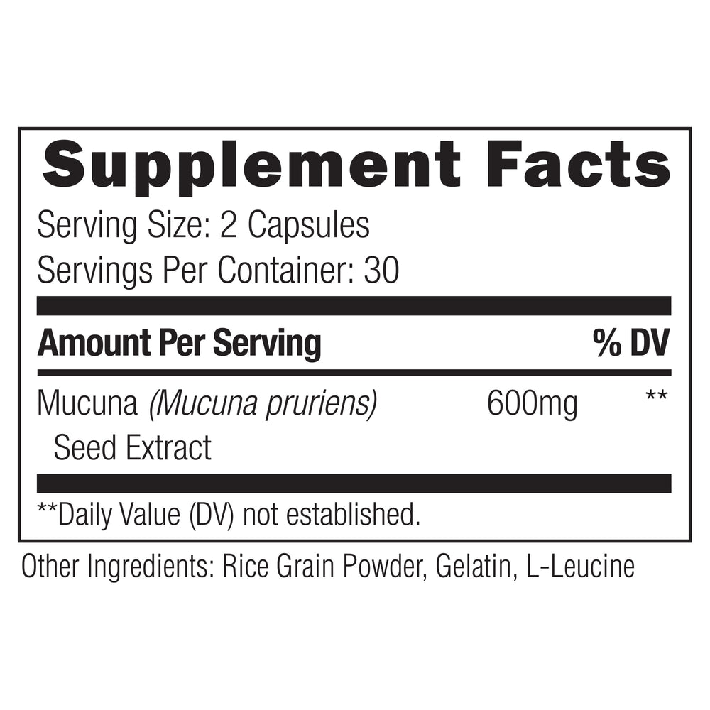 Brain Fog Support Bundle: Cortigon, Miracle Morning, Choline & Mucuna Pruriens Bundles UMZU   