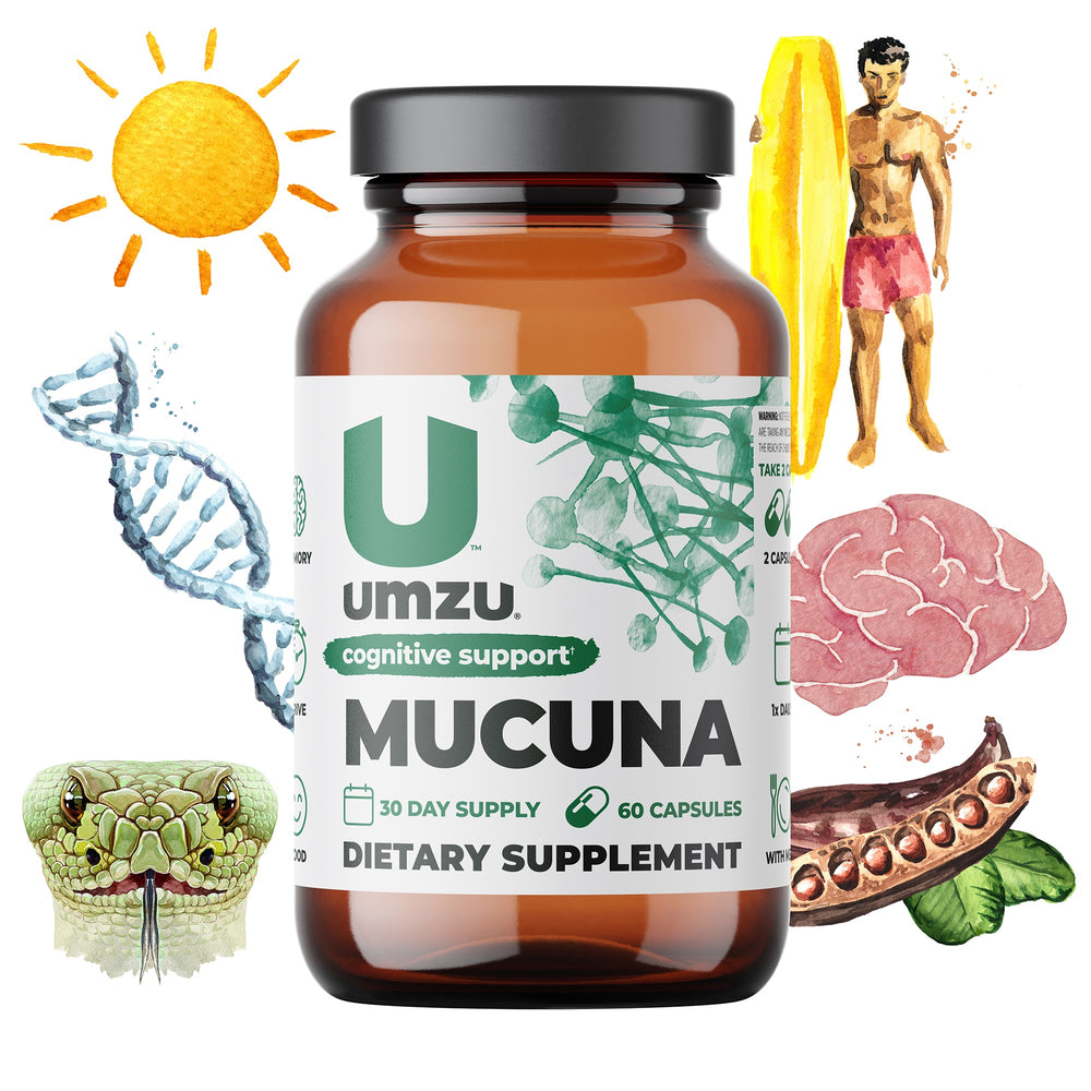 MUCUNA PRURIENS: Support Mood and Well-Being