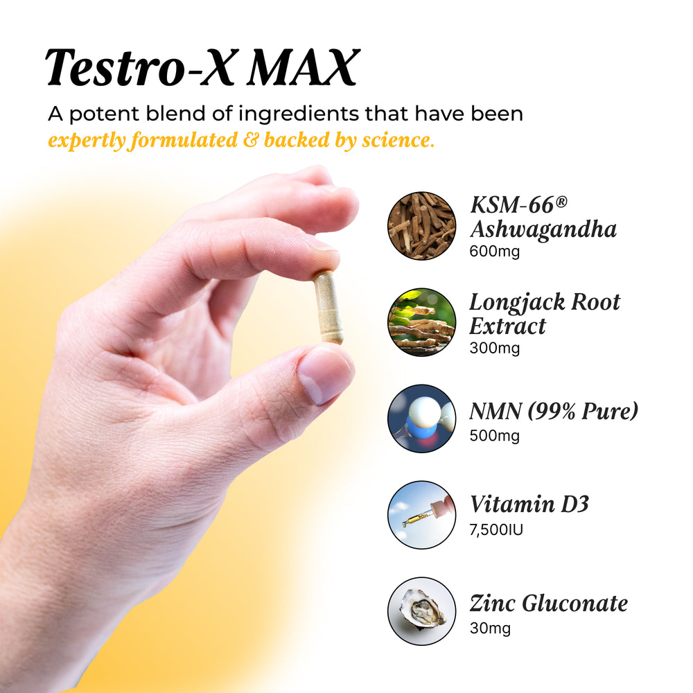 Testro-X MAX: Bundle 2 pack Capsule UMZU