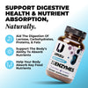 zuEnzymes: Digestion, Gut Health & Absorption Capsule UMZU